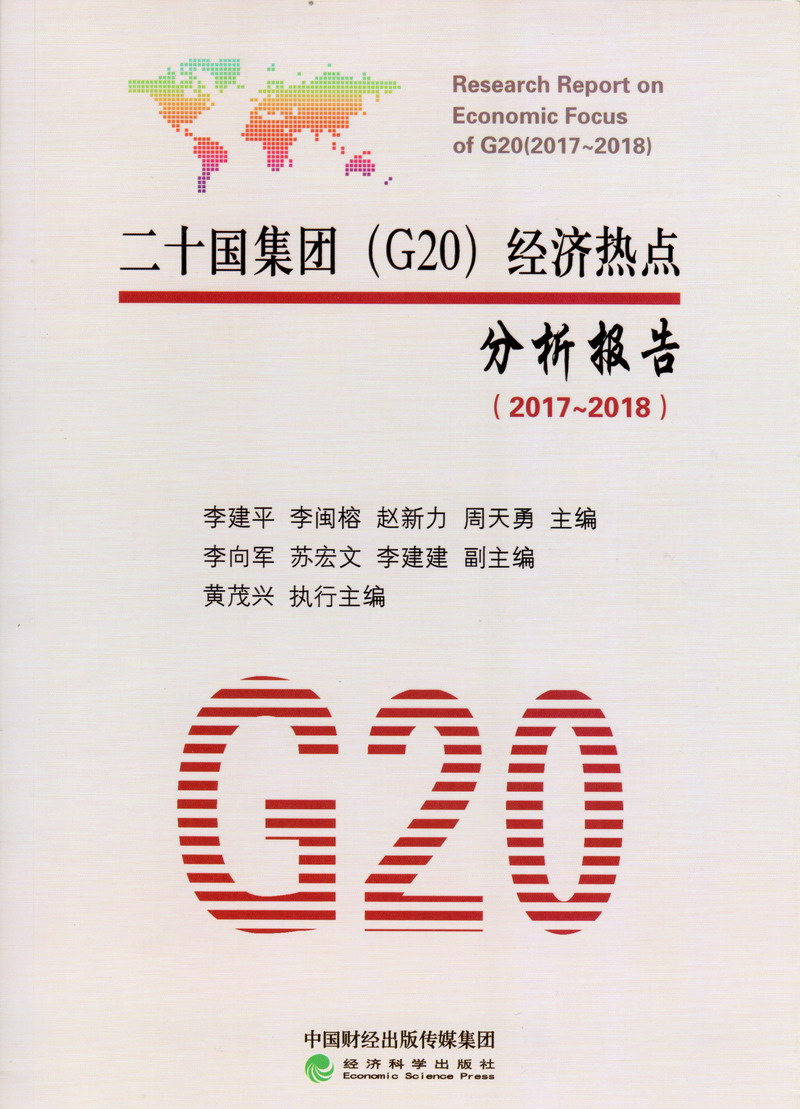 大几把插进逼里二十国集团（G20）经济热点分析报告（2017-2018）