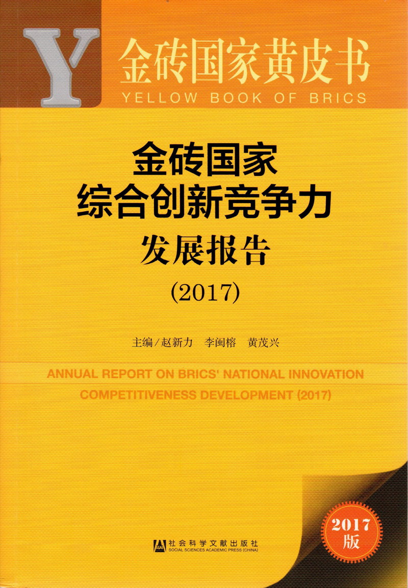 的爆操白虎中出啊啊啊的金砖国家综合创新竞争力发展报告（2017）